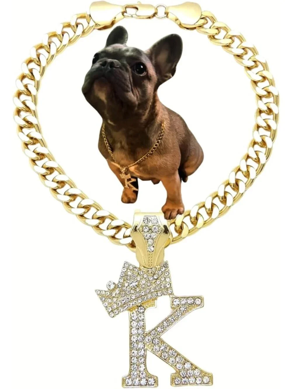 Personalized Initial Letter Cuban Chain Pet Necklace for Dogs & Cats, 10